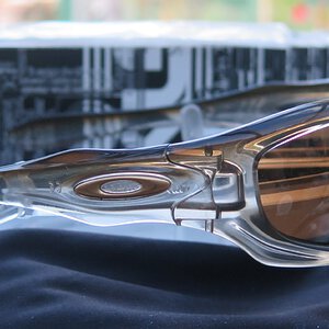 My Brown Fade / Brown Monster Dogs.