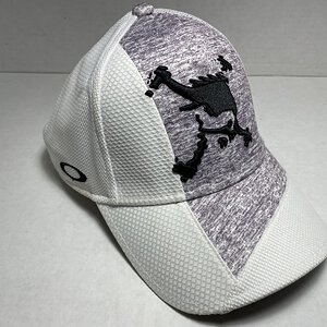 !4.0 FW white : gray.jpeg