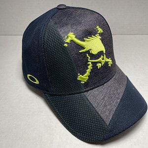 14.0 FW Graphite : Lime skull.jpeg