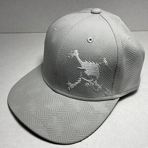 Skull BB Cap 14.0 SB Gray.jpeg