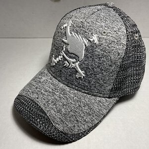 Skull Hybrid Cap 14.0 FW gry.jpeg