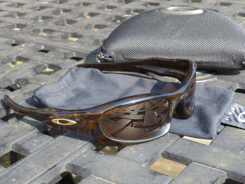 Tortoise Monster Dogs